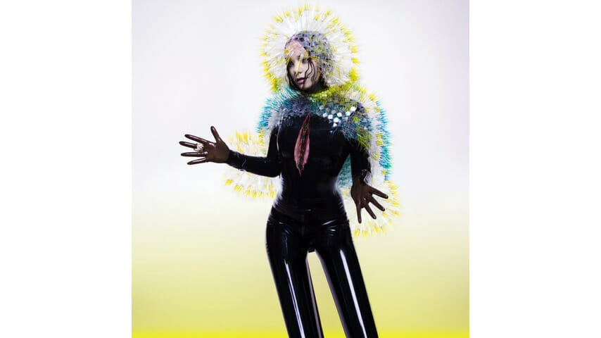 Björk: Vulnicura