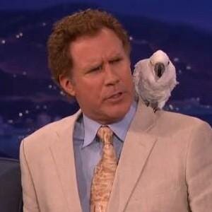 Watch Will Ferrell Dismiss Conan O'Brien's Questions About the Bird on His Shoulder
