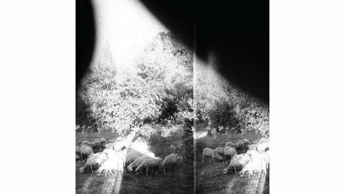 Godspeed You! Black Emperor: Asunder, Sweet and Other Distress