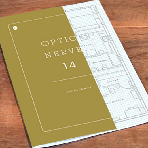 Optic Nerve #14 by Adrian Tomine