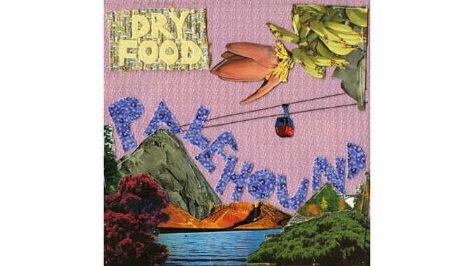 Palehound: Dry Food