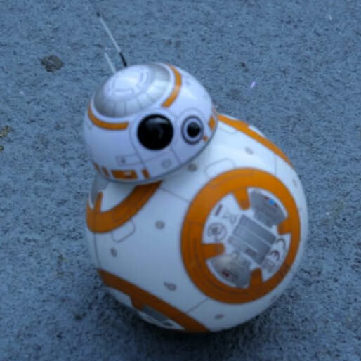 BB-8: Little Droid in the Big City