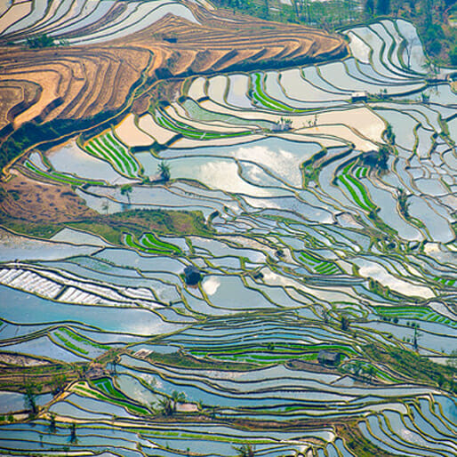 The Bucket List: ​7 Must-See Rice Terraces​ in Asia