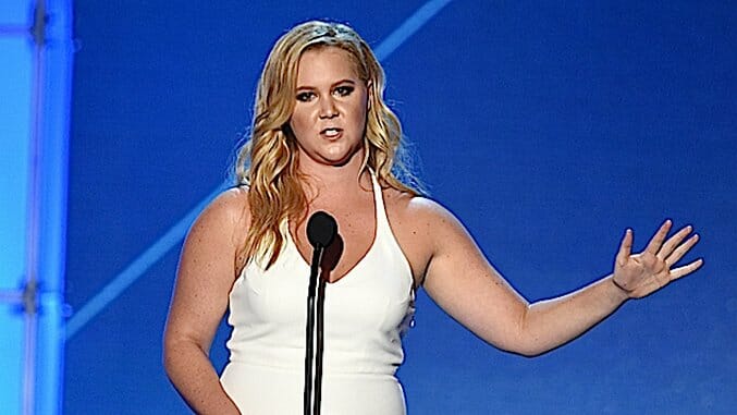 An Exhaustive Primer on the Amy Schumer Scandal (Yes, She’s Probably Guilty of Plagiarism)