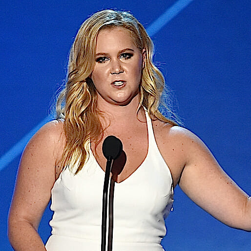 An Exhaustive Primer on the Amy Schumer Scandal (Yes, She's Probably Guilty of Plagiarism)