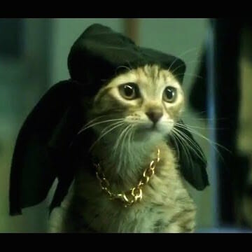 Watch The Red-Band Trailer For Key and Peele's Kitty-Heist Movie Keanu