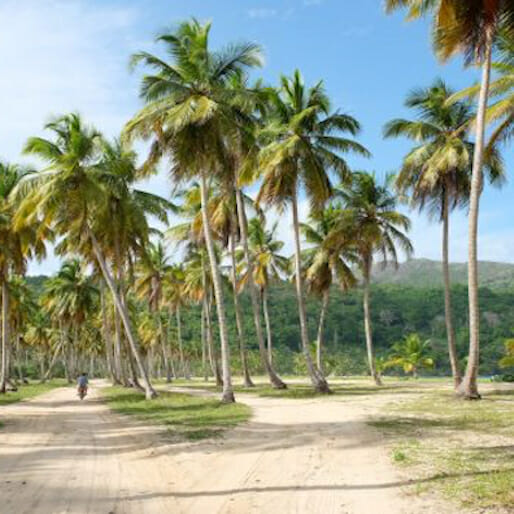 Checklist: Samaná Peninsula, Dominican Republic