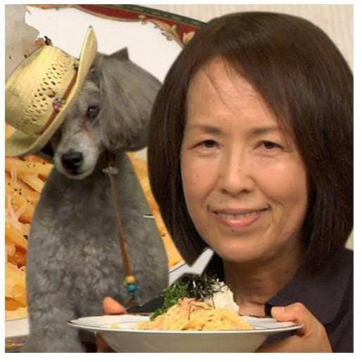 Cooking with Dog: Japanese Cooking without Anxiety