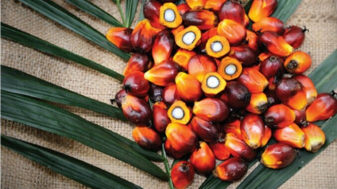 What’s Up With That Food? Red Palm Oil