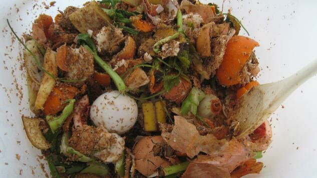 How to Bokashi your food waste 