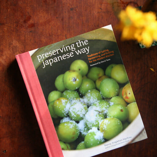 Wild Culture: Learning About Japanese Fermentation with 