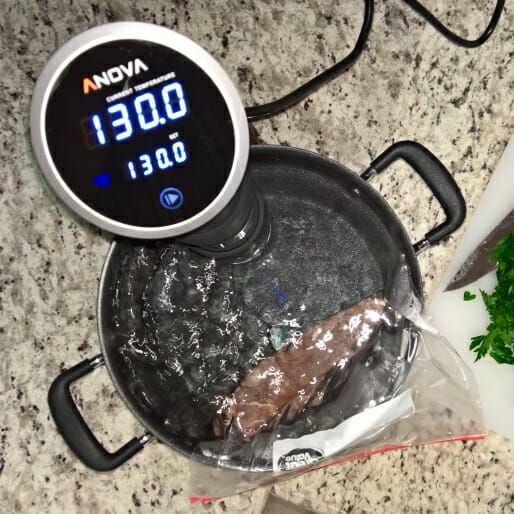 Anova WiFi Precision Cooker: Cook Like a Chef