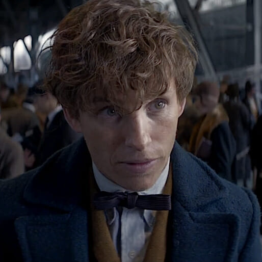 Watch Eddie Redmayne in full Fantastic Beasts Trailer