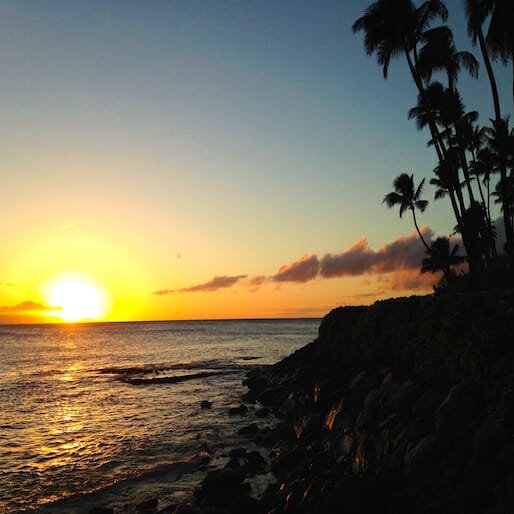 Checklist: Maui