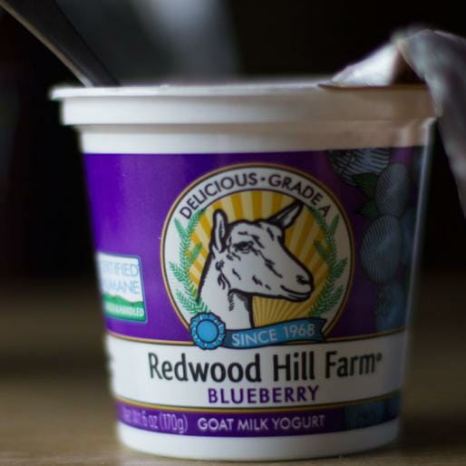 5 Specialty Yogurts to Try This Week