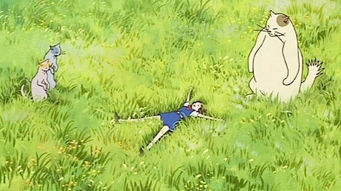 Six Best Studio Ghibli Films Not Directed by Hayao Miyazaki - Paste Magazine