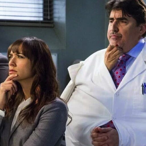 5 Reasons Angie Tribeca's Season Two is a Must-Watch
