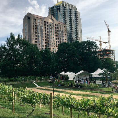 Atlanta Food & Wine Fest Hosts A Pop-Up Vineyard