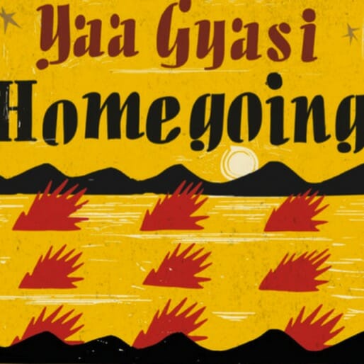 Yaa Gyasi's Homegoing: A Brutal History of 