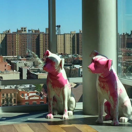 Dog-Friendly Hotels in New York City
