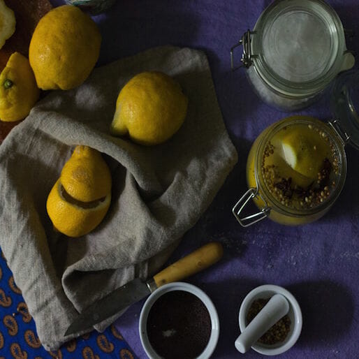 Preserved Lemons are Magic