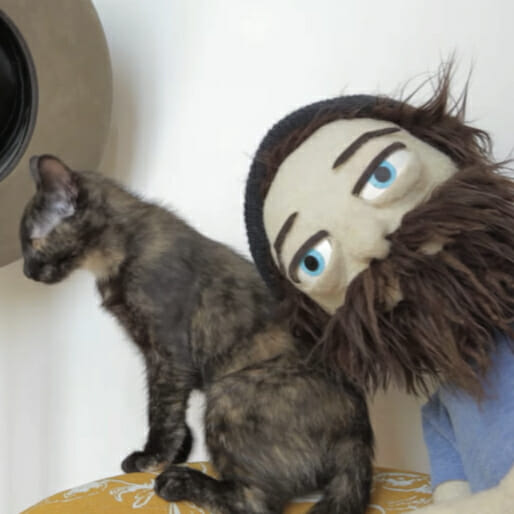 Aesop Rock Transforms into a Puppet, Co-Stars with Kitten in Delightful 