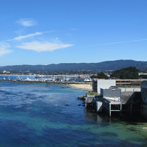 Greetings From Monterey, California