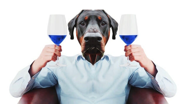 Blue Wine For Millennials Might Be The End Of The World