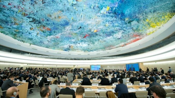 The UN Declares Internet Access a Basic Human Right