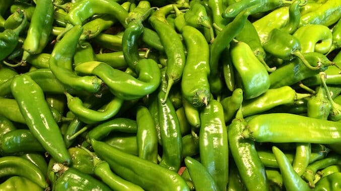 The Great Green Chile Debate: Colorado vs. New Mexico - Paste Magazine