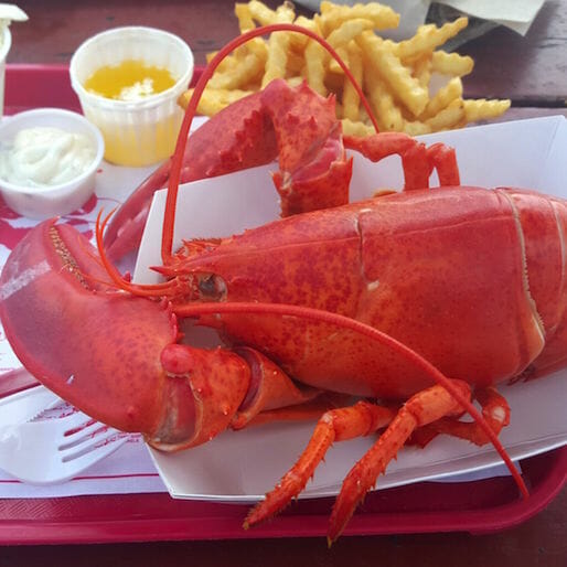 7 Non-Traditional Ways to Enjoy Maine Lobster