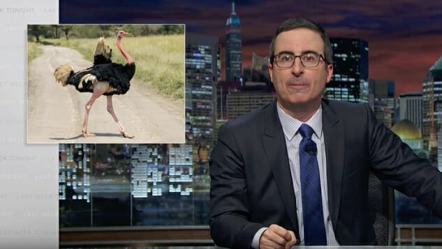 Watch John Oliver Express His Seething Hatred of Birds