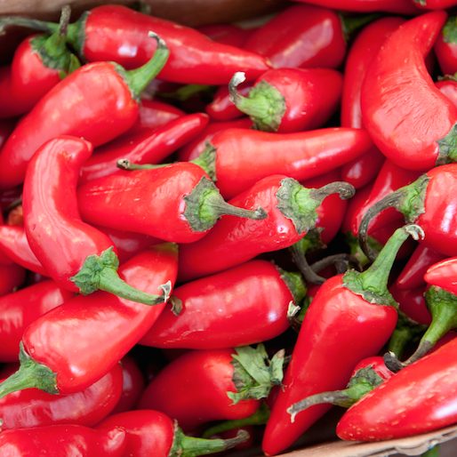 Catch the Last of Summer's Heat with Chiles