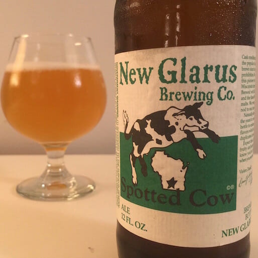 Great Expectations: Drinking Whales, The Gin Blossoms and Disappointment