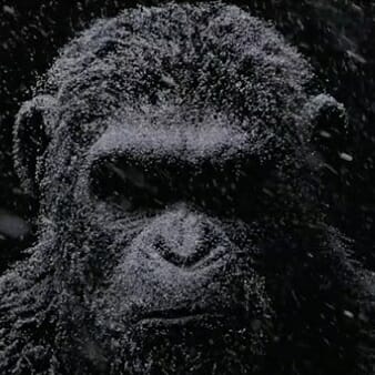 First War of the Planet of the Apes Teaser Promises an Epic Battle to Come