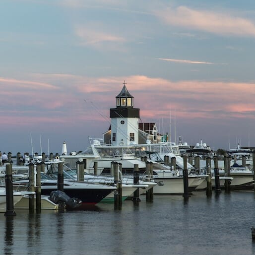Checklist: Old Saybrook, Connecticut