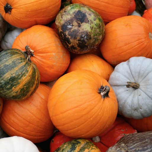 5 Savory Spices and Herbs to Pair with Pumpkin