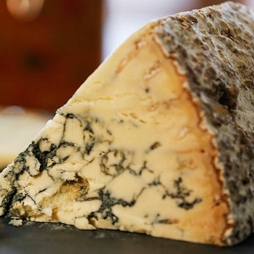 5 Surprising Facts About Cheese