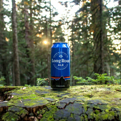 Patagonia is Making a Sustainable Kernza Beer