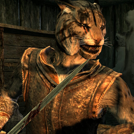 Skyrim's Rigid Racial Divide Doesn't Reflect Real Life
