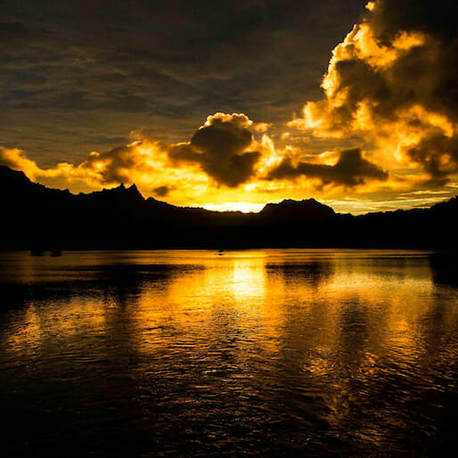 Checklist: Kosrae, Micronesia