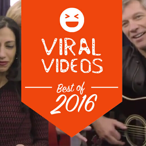 The 11 Best Viral Videos of 2016
