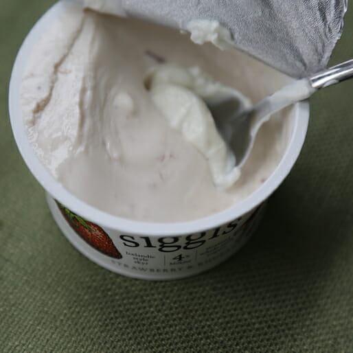Skyr: The Icelandic Soul in a Cup