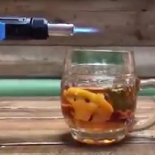 Use a Blowtorch to Light a Hot Toddy