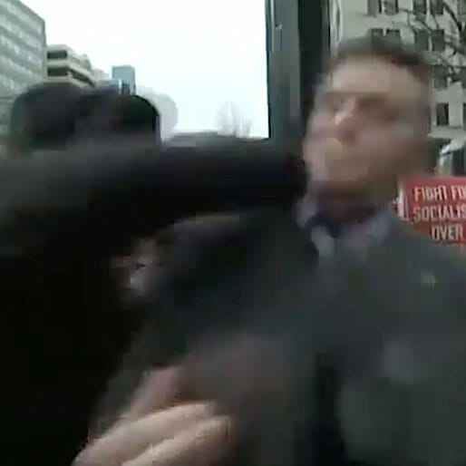 Video: Richard Spencer, Prominent White Nationalist, Gets Punched at Anti-Trump Protest in D.C.