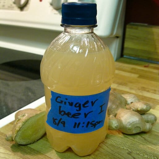 Healthy Ginger Beer Recipe