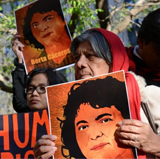 Warming Signs: Why Are Governments Killing Environmentalists?
