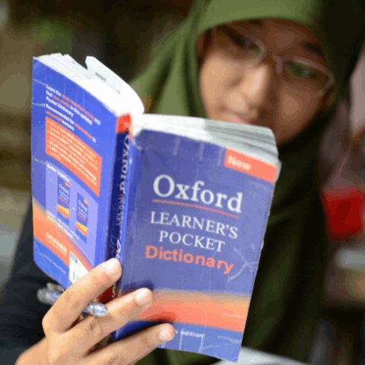 What Makes Someone a Native Speaker?