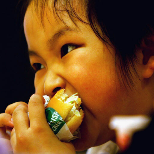 Could a High-Fat Diet Cause Mental Problems in Children?