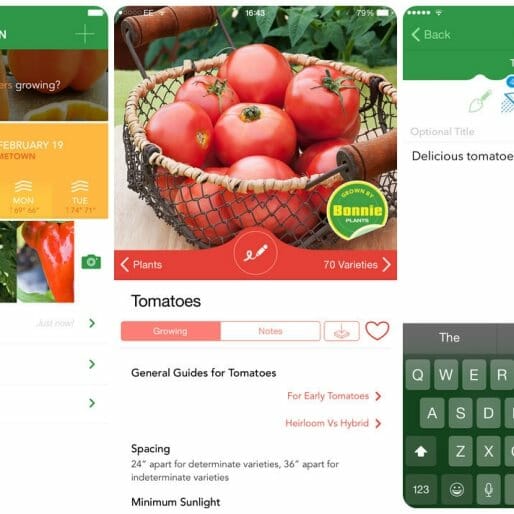 Gear Up for Spring with These 10 Essential Gardening Apps